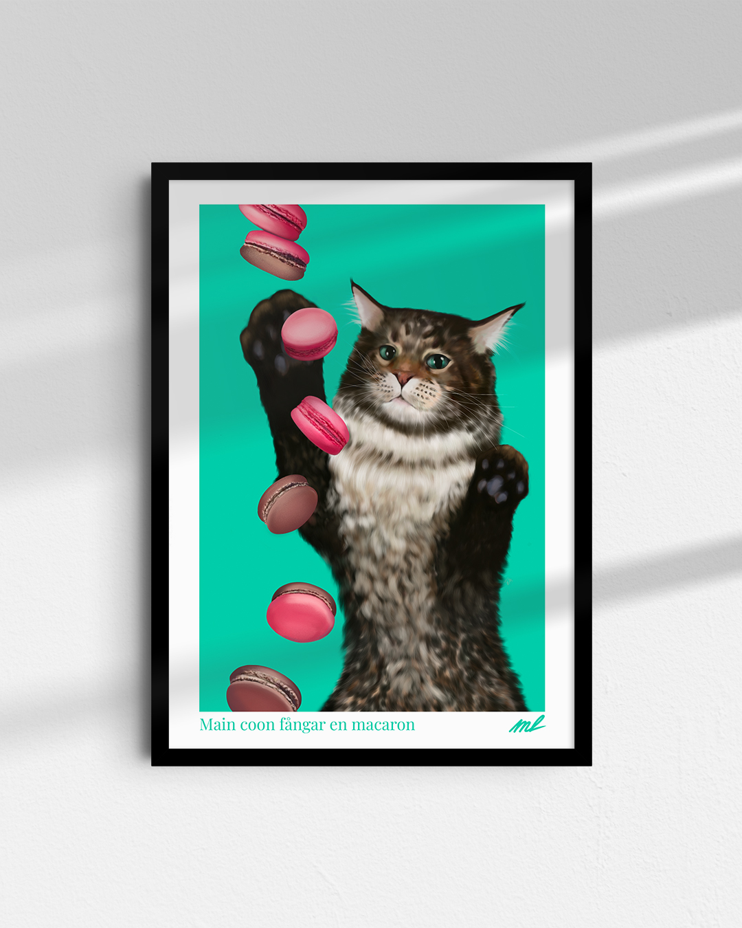 Main coon fångar en macaron