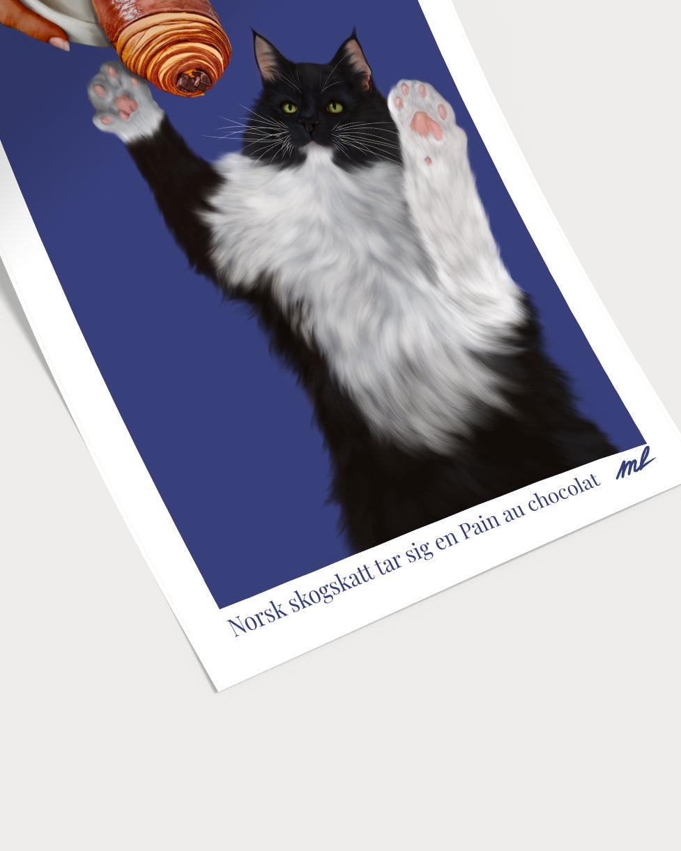 Norsk skogskatt tar sig en Pain au chocolat