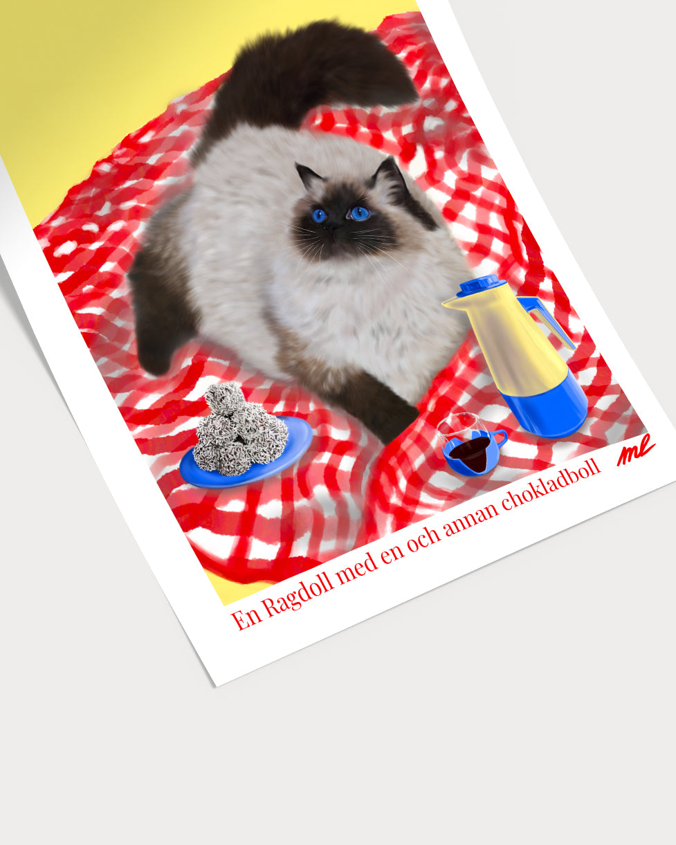 En Ragdoll med en och annan chokladboll