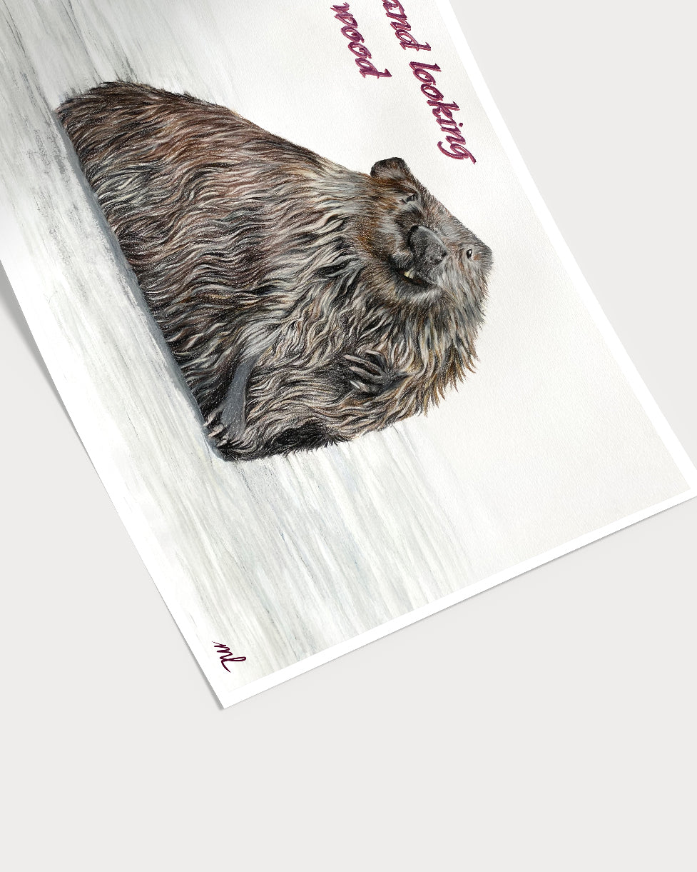 Wet and looking for wood