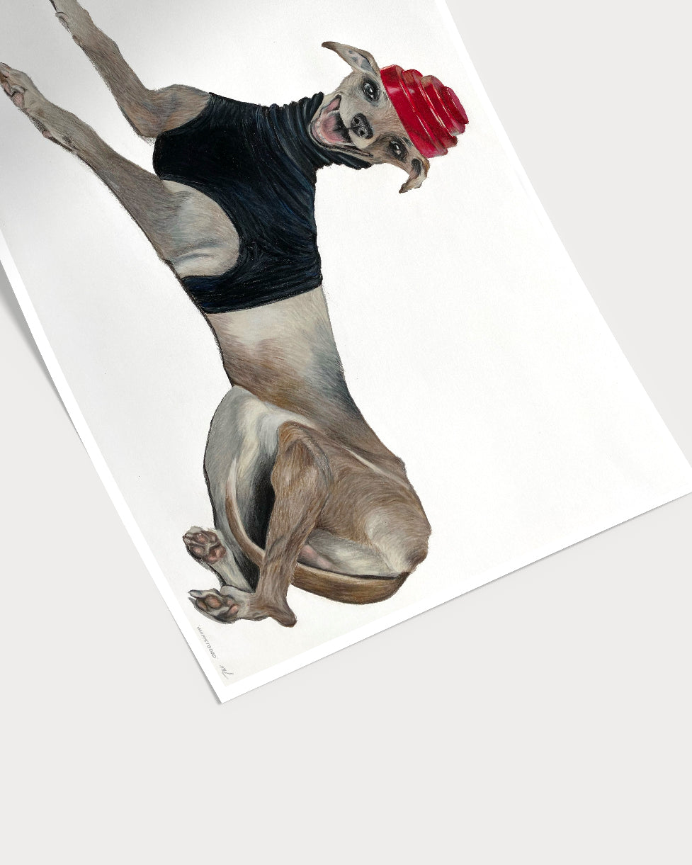 Whippet good